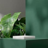 3d render mockup template of white podium in square with green pedestal, sun shadow, and plants photo