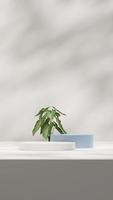 3d rendering mockup template with blue and white podium in portrait with syngonium plant and shadow photo