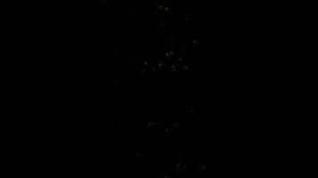 Concept L12 View of Flying Fireflies Glowing at Night with Flying Motion and Glow Animation video