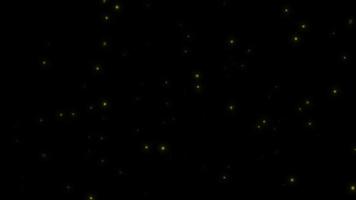 Concept L1 View of Flying Fireflies Glowing at Night with Flying Motion and Glow Animation video