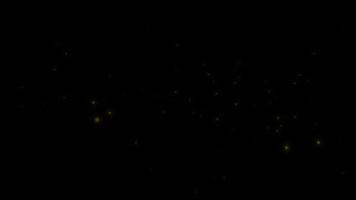 conceito l16 vista de vaga-lumes voadores brilhando à noite com movimento de voo e animação de brilho video
