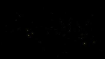 Concept L16 View of Flying Fireflies Glowing at Night with Flying Motion and Glow Animation video