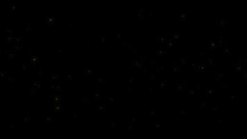 visão do conceito l11 de vaga-lumes voadores brilhando à noite com movimento voador e animação de brilho video