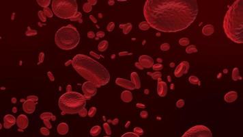 red blood cells in the arteries, flowing in the body, medical human health care video