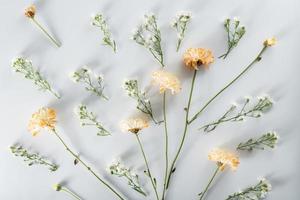 composición de flores de crisantemo y cortador. patrón y marco de varias flores amarillas o naranjas y hojas verdes sobre fondo blanco. plano, vista superior, espacio de copia, primavera, concepto de verano. foto