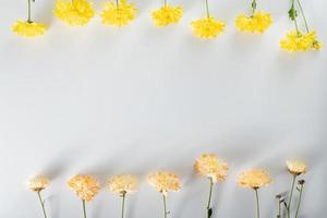 composición de flores de crisantemo y cortador. patrón y marco de varias flores amarillas o naranjas y hojas verdes sobre fondo blanco. plano, vista superior, espacio de copia, primavera, concepto de verano. foto