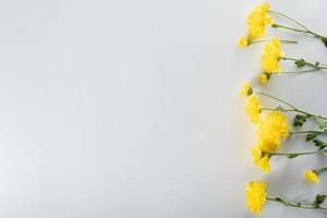 chrysanthemum and cutter flowers composition. Pattern and Frame made of various yellow or orange flowers and green leaves on white background. Flat lay, top view, copy space, spring, summer concept. photo