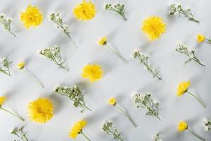 chrysanthemum and cutter flowers composition. Pattern and Frame made of various yellow or orange flowers and green leaves on white background. Flat lay, top view, copy space, spring, summer concept. photo