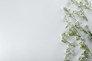 chrysanthemum and cutter flowers composition. Pattern and Frame made of various yellow or orange flowers and green leaves on white background. Flat lay, top view, copy space, spring, summer concept. photo