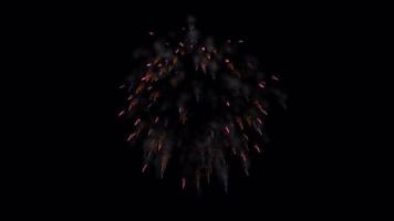 Multi colored fireworks packs for holiday background video