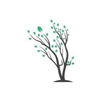 Vector branch , Hand drawn illustration of tree branch design template