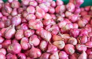 Shallot put together as a group in basket basket at the market, Fresh red onions background, shallots fresh purple in basket, Shallots close up ,Vegetables for health Shallots is herbal. photo