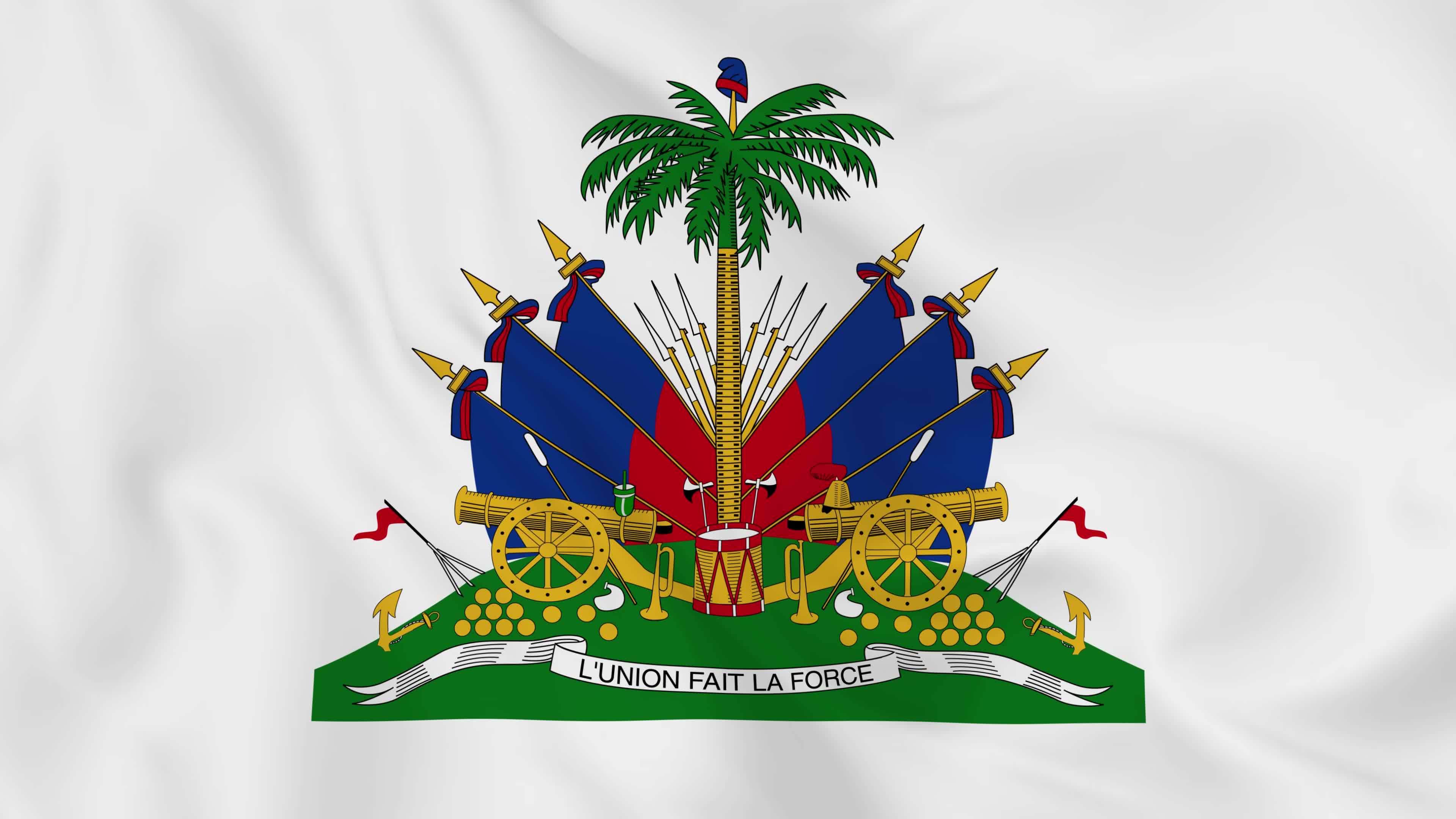 national emblem coat of arms or symbol of haiti in waving flag. smooth