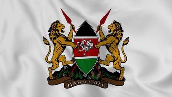 national emblem or symbol of Kenya in waving flag. smooth 4k video seemless loop