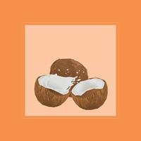 Coconut Illustration Design vector
