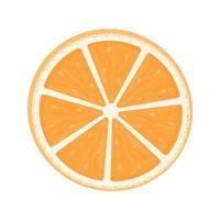 Orange slices tropical food vector illustration