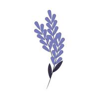 hoja de flores lilas vector