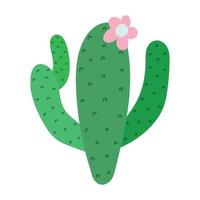 cactus with flower vector