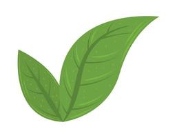 nature leaves icon vector