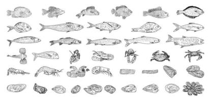 Seafood vector illustrations. Healthy food natural set.