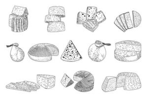 Cheese hand drawn vector illustrations.