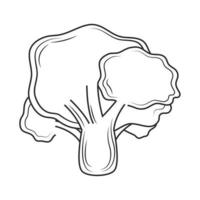 broccoli sketch icon vector