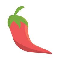 chili pepper icon vector