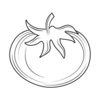 tomato sketch icon vector