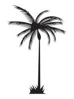 tree palm black silhouette vector