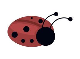 ladybug insect garden spring vector