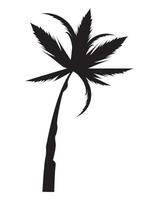 tropical palm silhouette style vector