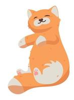 cute sleep cat vector