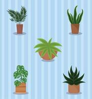 plants in pot vector