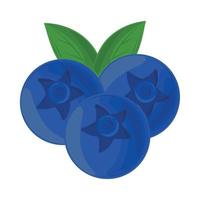 blueberry fruit icon vector