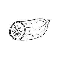 cucumber in doodle style vector