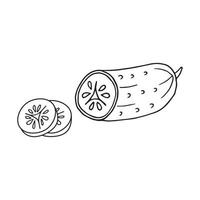 cucumber in doodle style vector