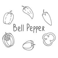 set of bell peppers in doodle style vector