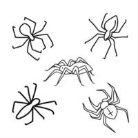 set of spiders in doodle style vector