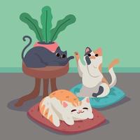 playing cute cats vector