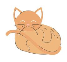 cat cartoon icon vector