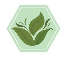 leaf nature organic vector