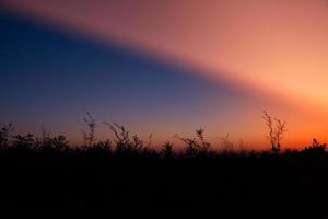afterglow over a field photo