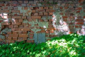 antiguo muro de ladrillo con hierba foto