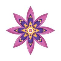 flower mandala decoration vector