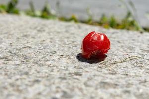 Old over ripe tomato on a stone background photo