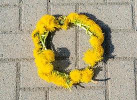 Dandelion wreath on paving stones photo