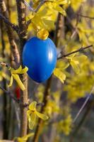 easter egg decoration on a shrub