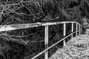 old railing in nature photo