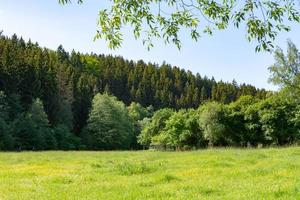 Scenic spring landscape with green fields photo