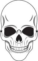 white skull illustration vector